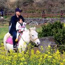 조성봉농장 이미지