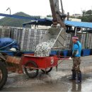 남해파도식당 이미지