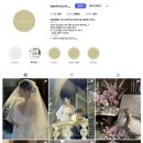 수정화원 | W9 *가성비 본식 스냅 vs 아이폰 스냅 비교 | 스냅스타 후기, 비밀의 화원 견적