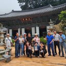 의성점 현대자동차 | 동학사/갑사