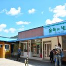 숲속의 빈터 - 제천시 | 숲속의 빈터