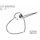 지와이오 이미지