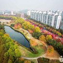호수공원 제1주차장출구 이미지