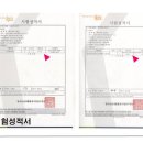 세이프죤 Daum카페
