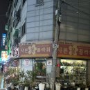 샤론  꽃  화원 이미지