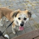 365일카센타 이미지