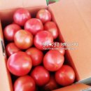 석민농장 이미지