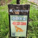 호랑이펜션 - 경주시 갈곡삼막길 43-187 | 호랑이펜션