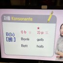 에스체트독일어학원 | 드디어 시작!! #시원스쿨독일어후기 #내돈내산 #독일어공부