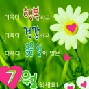 솔봉 Daum카페