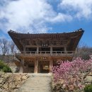 경북 영주 부석사, 봉화 청량산(2024.04.09) 이미지