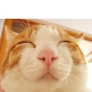 이쁜핸드폰 이미지