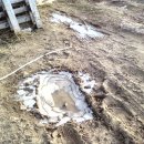 다마내기 이미지