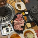 배 터지게 먹고 온 호평 맘스고기 후기! 남양주맛집+무한리필, 벚꽃명소, 키즈존(키카대용)