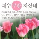 ＜04,09.주일오후예배설교＞ 엠마오 길에서 돌아서라 이미지