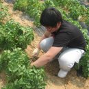 신태인고등학교 이미지