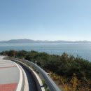 변산자연휴양림 티스토리