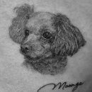 모텐셜의원 이미지