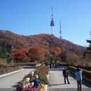 남산 이미지