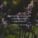 흔들리며 피는 꽃 이미지