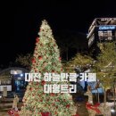판암동170 | 대전 크리스마스 트리 애견동반 카페 하늘만큼
