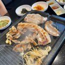 찐돈돼지 이미지