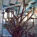 고양이 놀이터 이미지