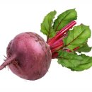 네츄럴 바디 휘트니스 이미지