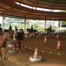 종정초등학교 이미지