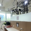 송파역미용실 헤어, 도화 :: 송파 뿌리펌 잘하는 곳