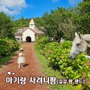 꼬꼬팜 | 아기랑 필수코스 제주 사려니팜(길갈팜랜드)