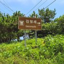 달리는커피제주도남 | [제주 우도] 우도 전기차·전기 스쿠터 대여, 자유롭게 우도 한 바퀴 ' 걸리버여행기 ' 솔직 후기