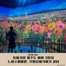과랑펠롱민박 제주커플가족독채 | 아기랑 제주도 여행 3일차 : 아빠와 잠시 이별, 노형수퍼마켙