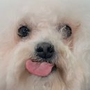 성남대로43번길 이미지