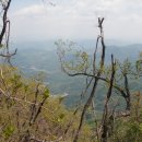 숙원농장 이미지