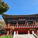 (주)호남타임즈 | “단풍 다 졌다고 안 가면 손해”…늦가을에 더 아름다운 내장산 숨은 사찰 '벽련암'