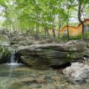 거제자연휴양림(거제) 이미지