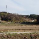 정감이수변공원 Daum카페