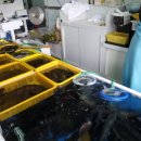 창녕상회 이미지