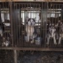 연상농장 이미지