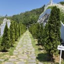 더포레스트 이미지