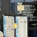 [국내여행] 뚜벅이들의 2박 3일 묵호 기차여행
