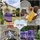 [부산 이색카페]기장 보몽드 기차 체험 후기🚂 운행 시간·탑승 방법 총정리~