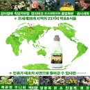 웰빙하우스 이미지