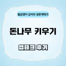 케이테크 | 30초면 끝, 케이뱅크 돈나무 키우기 앱테크 후기