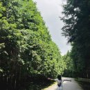 보미목장 이미지