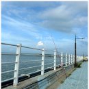 궁평항 어항구역 내 주차장 일부 | 궁평항 낚시｜화성 최고의 바다낚시 포인트, 초보부터 베테랑까지