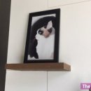 다오동물병원 이미지