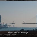 낙동강철새도래지 티스토리