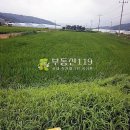 충도리농장 Daum카페